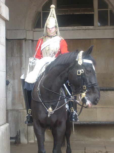 img00082.jpg