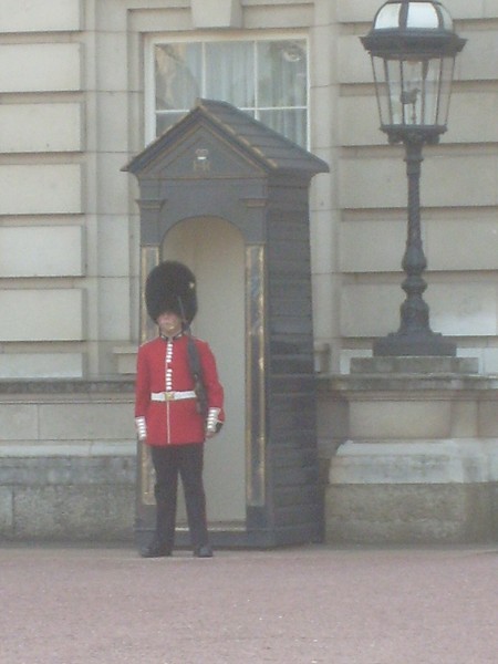 img00085.jpg